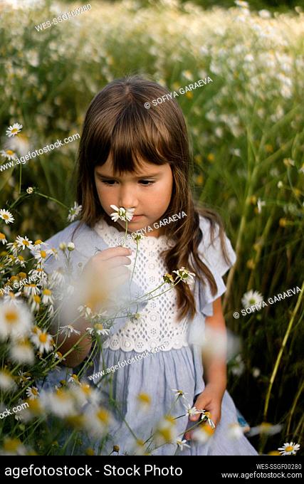Curious girl smelling flower in meadow