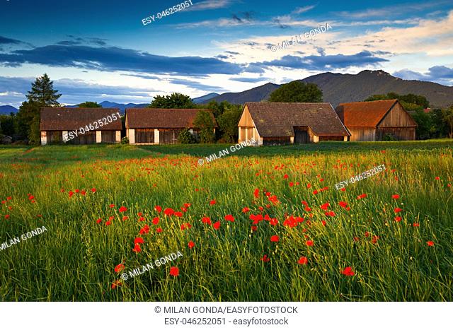 Rural summer landscape of Turiec region, central Slovakia.