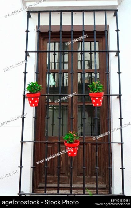 Flower pots on wrought iron lattice door, Andalusia