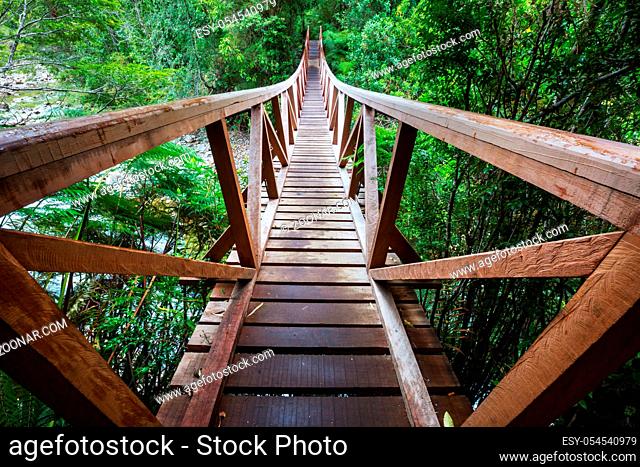 bridge in green jungle, Chile