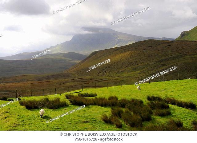 Quiraing. Trotternish peninsula. Isle of Skye. Scotland. Great Britain