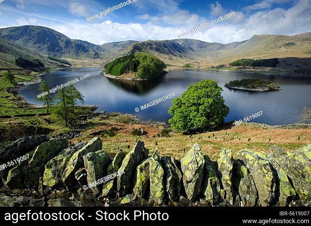View over the dry stone wall to Highland Reservoir, Haweswater Reservoir, Mardale Valley, Lake District, Cumbria, England, United Kingdom, Europe