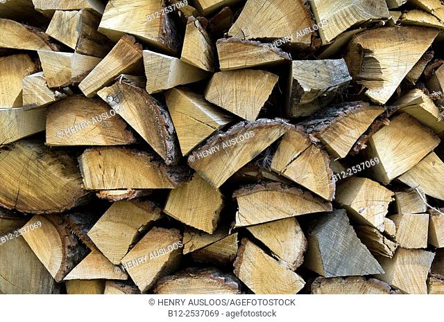 Firewood, Belgium