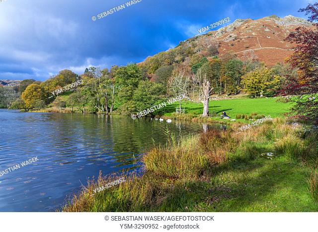 Loughrigg Tarn Elterwater, Lake District National Park, Cumbria, England, UK, Europe