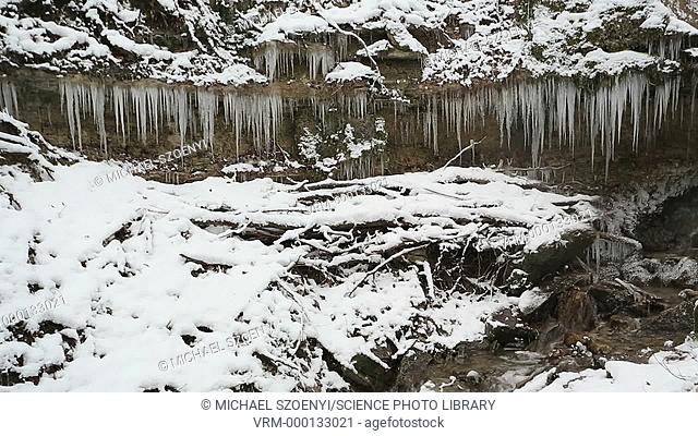 Icicles and snow on a waterfall in the winter. Filmed at Chogebach Creek in the Schrofen Valley, near Kreuzlingen, Thurgau Canton, Switzerland