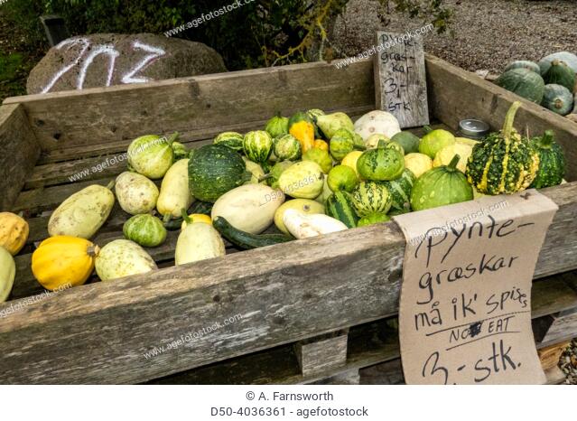 Svendborg, Denmark Squashes for sale at a farm market
