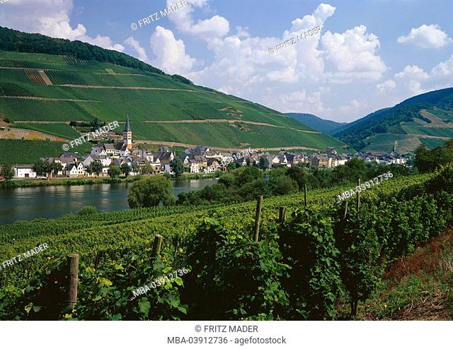 Germany, Rhineland-Palatinate, Merl, locality perspective, river Moselle, Moseltal, place, wine-region, wine-growing, wine-growing-area, wine-growing-area, wine