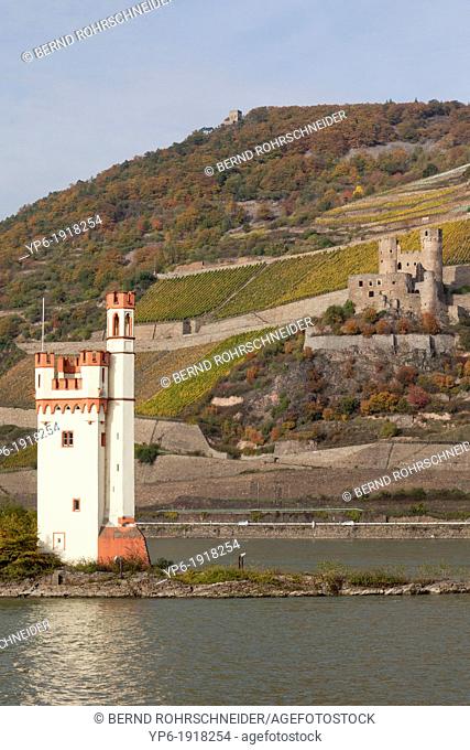 Mouse Tower and Ehrenfels castle, Upper Middle Rhine Valley, World Heritage Site, Bingen, Rhineland-Palatinate, Germany