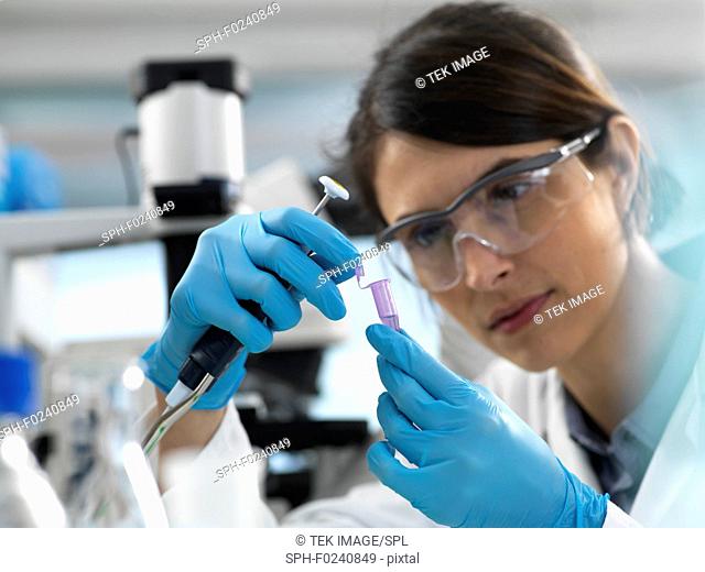 Scientist pipetting sample into a tube for analytical testing in the laboratory
