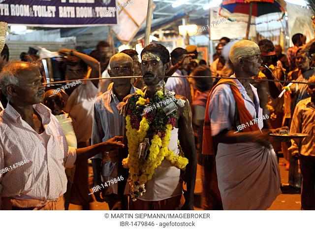 Hindu pilgrim with a long spear through his cheeks, Thaipusam Festival in Palani, Tamil Nadu, Tamilnadu, South India, India, Asia