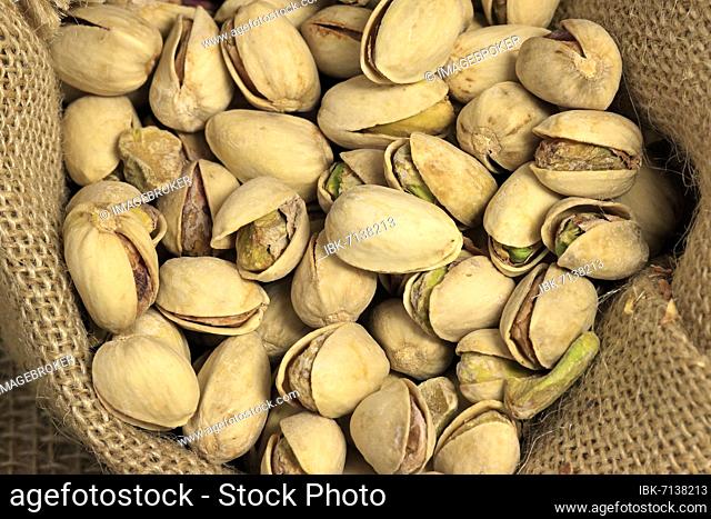 Pistachio (Pistacia vera), fruit, nuts, with shell, unpeeled, Germany, Europe