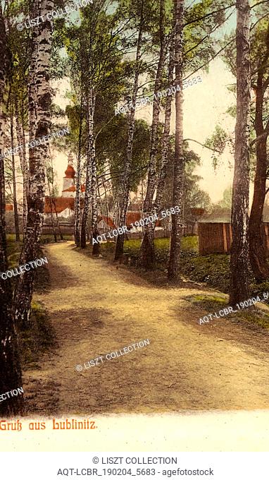 Churches in Lubliniec, Avenues in Poland, 1905, Silesian Voivodeship, Lublinitz, Waldweg