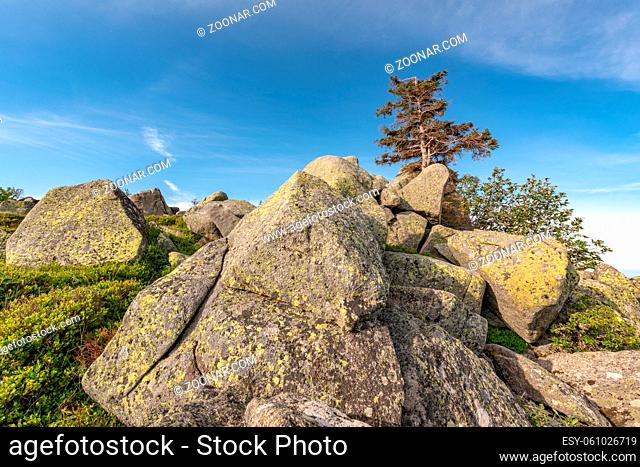 Granite rocks in the Vosges mountains in France