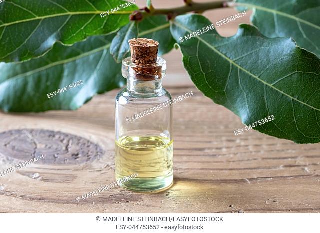 A bottle of essential oil with fresh bay leaves on a table
