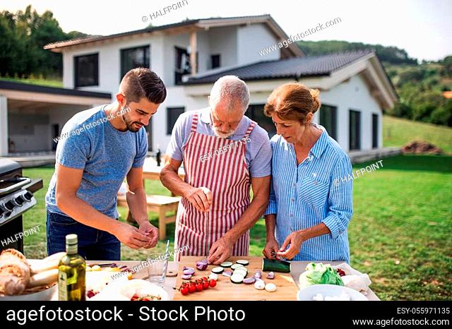 Portrait of multigeneration family outdoors on garden barbecue, grilling and talking