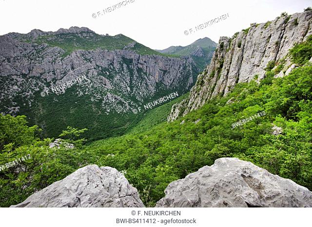 Velika Paklenica canyon in the Velebit mountain range, Croatia, Paklenica National Park