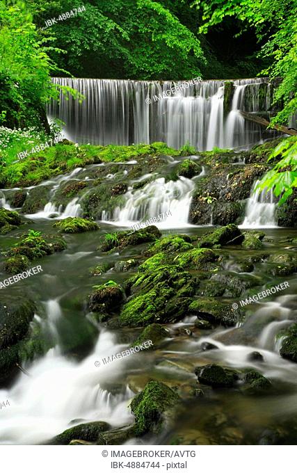 Waterfall and rapids at Ghyll Brook Stock surrounded by fresh greenery, Lake District, Cumbria, England, Great Britain