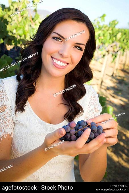 Young Adult Mixed Race Woman Enjoying The Wine Grapes in The Vineyard Outside