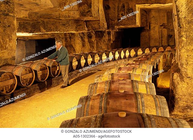 Subterranean Wine Cellar in Chateau Belair Premier Grand Cru Classe  St  Emilion Dordogne Valley. Bordeaux, Aquitaine, France