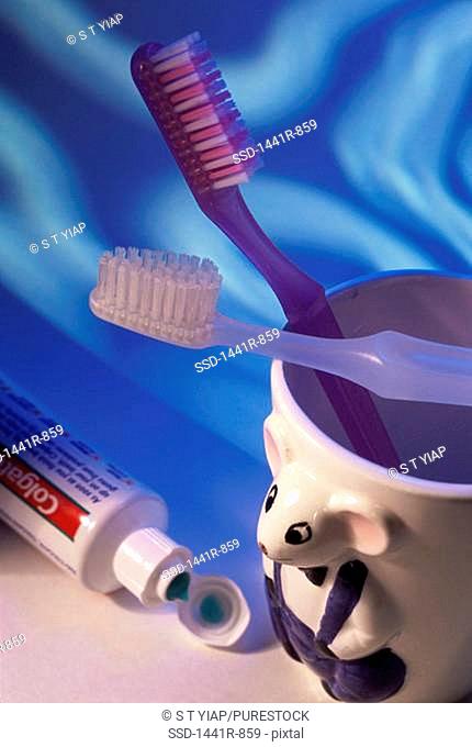 Close-up of two toothbrushes in a toothbrush holder