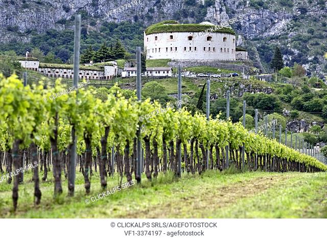 Adige Valley: Fort Wohlgemuth and the vineyards of Rivoli Veronese. This area is also called ""Land of the Forts"". Verona province, Veneto, Italy, Europe