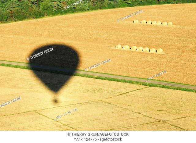Hot air balloon shadow over harvesting wheat field. Meuse, Lorraine region, France