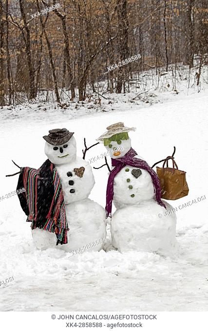 Snow couple, Washington DC area, after winter storm