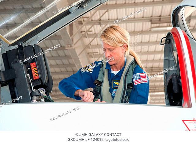 NASA astronaut Karen Nyberg, Expedition 3637 flight engineer, prepares for an out and back exercise in a NASA T-38 trainer jet from Ellington Field near NASA's...