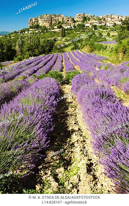 Region of Provence
