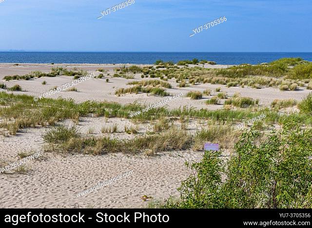 View of Mewia Lacha bird fauna nature reserve on the Sobieszewo Island, over Bay of Gdansk, Baltic Sea, Poland
