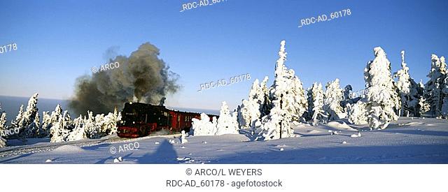 Light Railway on the Brocken and snow-covered Norway Spruce Harz Mountains Saxony-Anhalt Germany Picea abies