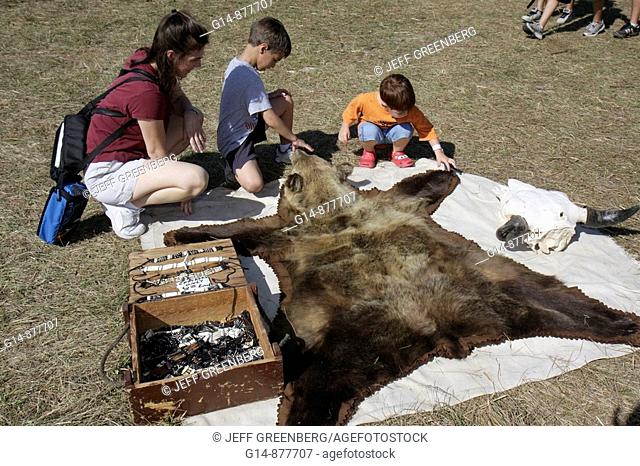 Bear fur, Big Cypress Shootout annual event, Billie Swamp Safari, Seminole Indian Reservation, Big Cypress, Florida, USA