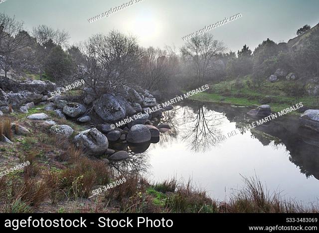 Reflections at a small lagoon in winter time in El Tiemblo. Avila. Spain. Europe