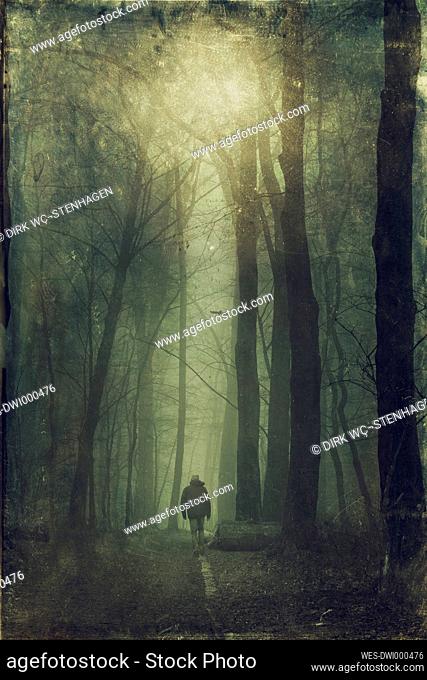 Germany, near Wuppertal, man walking in the wood
