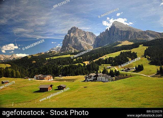 Hochalm, alpine pasture region, summer, Dolomites, South Tyrol, Alpe di Siusi, Sassolungo, Plattkofel, UNESCO World Heritage
