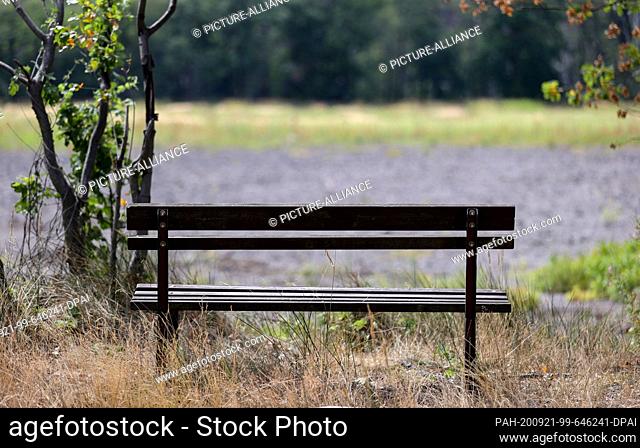 24 July 2020, Saxony, Bennewitz: A bench stands on the bank of the dried out Königsteich of the Bennewitz group of ponds