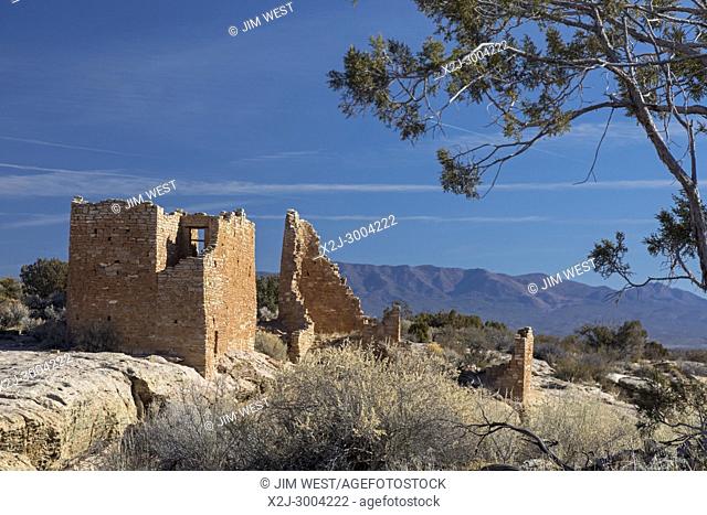 Hovenweep National Monument, Utah - Hovenweep Castle, part of the Square Tower Group of Anasazi ruins situated around Little Ruin Canyon