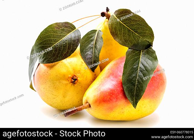 ripe pear fruits on white background with soft shadow