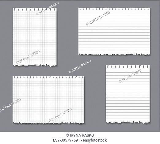 Vector set with lined and graph paper