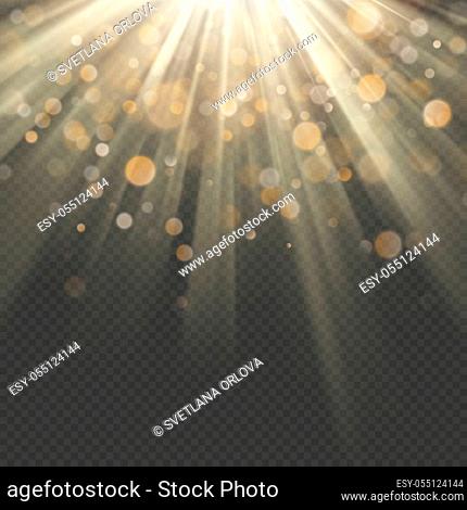 Light effect with glitter, sequins. Shining rays with bokeh. Sun particles and sparks with a highlight. EPS 10 vector file