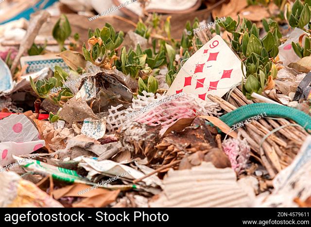 Old playing card on a pile of garbage (Vietnam)