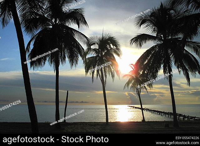 Sunset and Palms, Isla de la Juventud, Caribbean Sea, Cuba, América