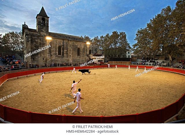 France, Gard, Saint Laurent d'Aigouze, Course camarguaise with its church dominating the bullring