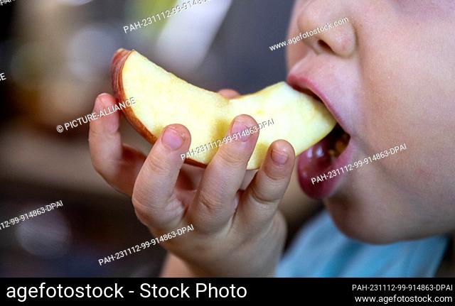 ILLUSTRATION - 08 November 2023, Saxony, Leipzig: A child eats a piece of apple from a plate of snacks. Boredom makes children eat more