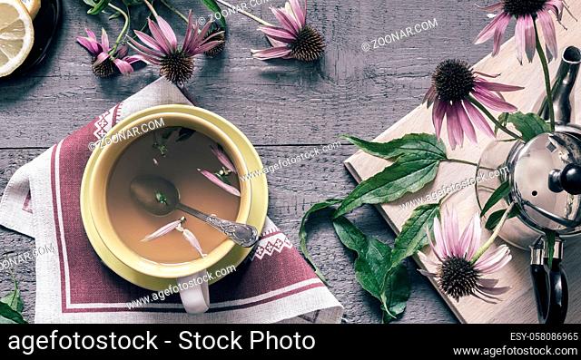 Echinacea is a valuable medicinal plant with immunostimulating effect. Next in a Cup of herbal tea with Echinacea