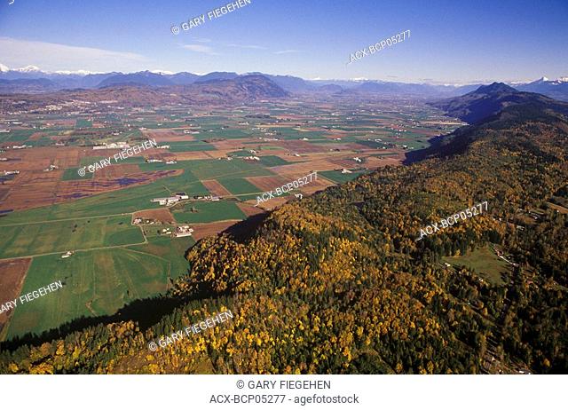Aerial, Sumas Prairie, Fraser Valley, British Columbia, Canada