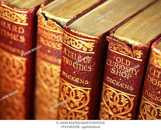 Old Leather bound books the works of Charles Dickens