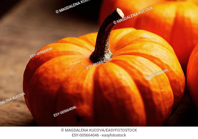 Close-up of pumpkin on dark wooden background