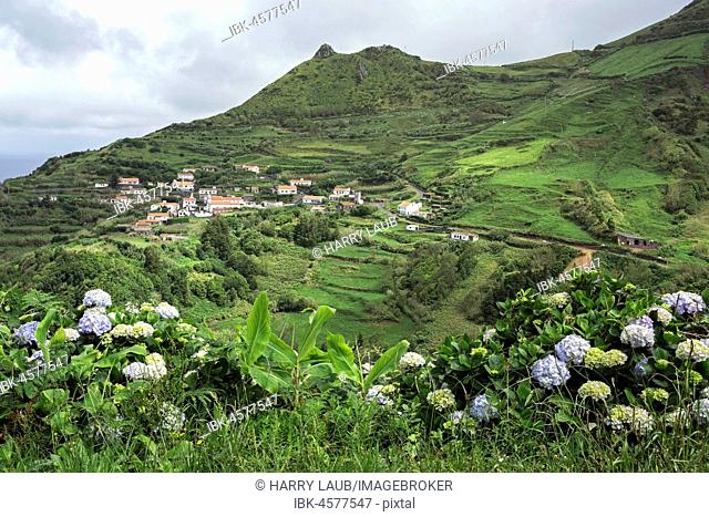 The place Lajedo in typical landscape, island of Flores, Azores, Portugal