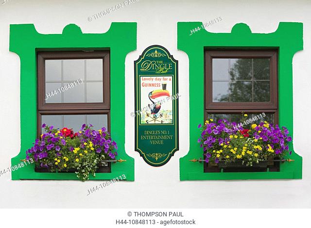 Ireland, Europe, green, and white, painted, windows, with, lovely, day, Guinness, toucan, sign, exterior, wall, Dingle